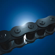 Renold Roller Chain